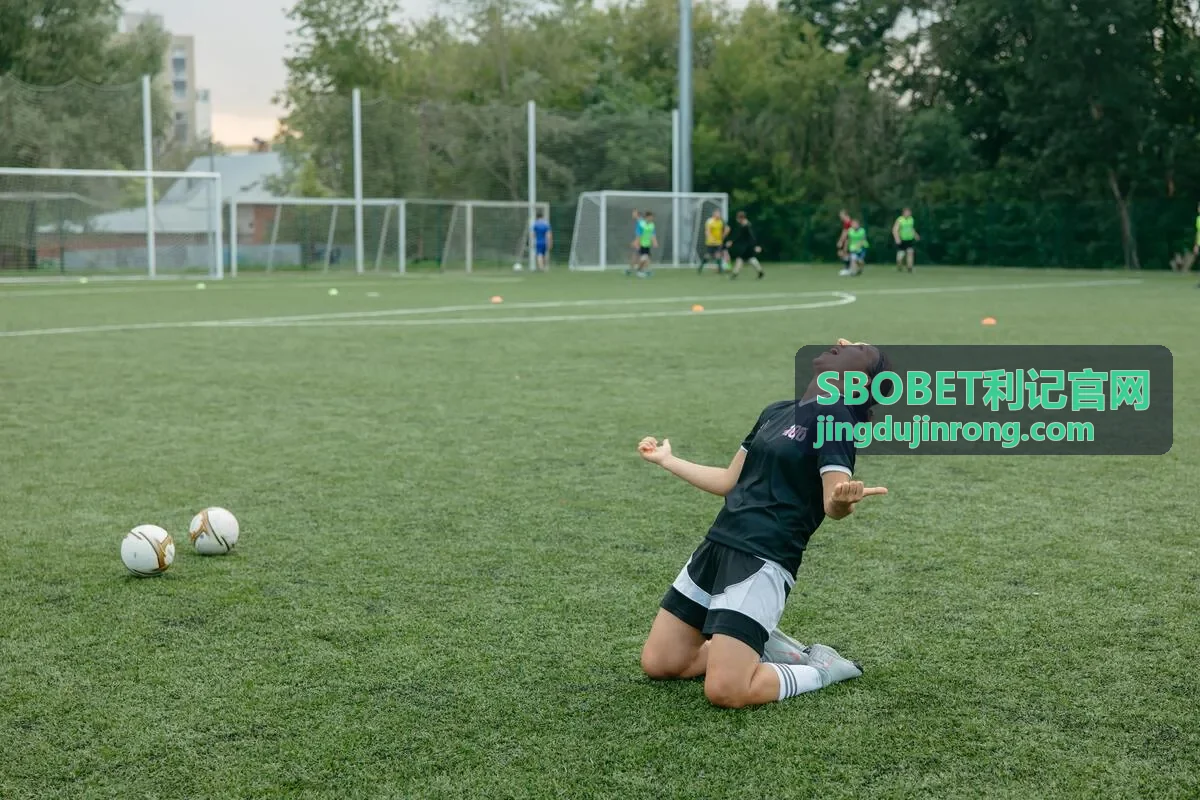 SBOBET利记官网 竞技合作